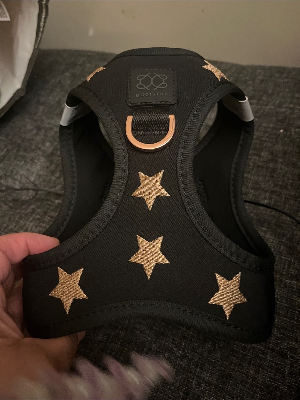 Soho dog hornets Black Harness with Gold Star Embroidery